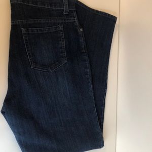 Gloria Vanderbilt Amanda Style